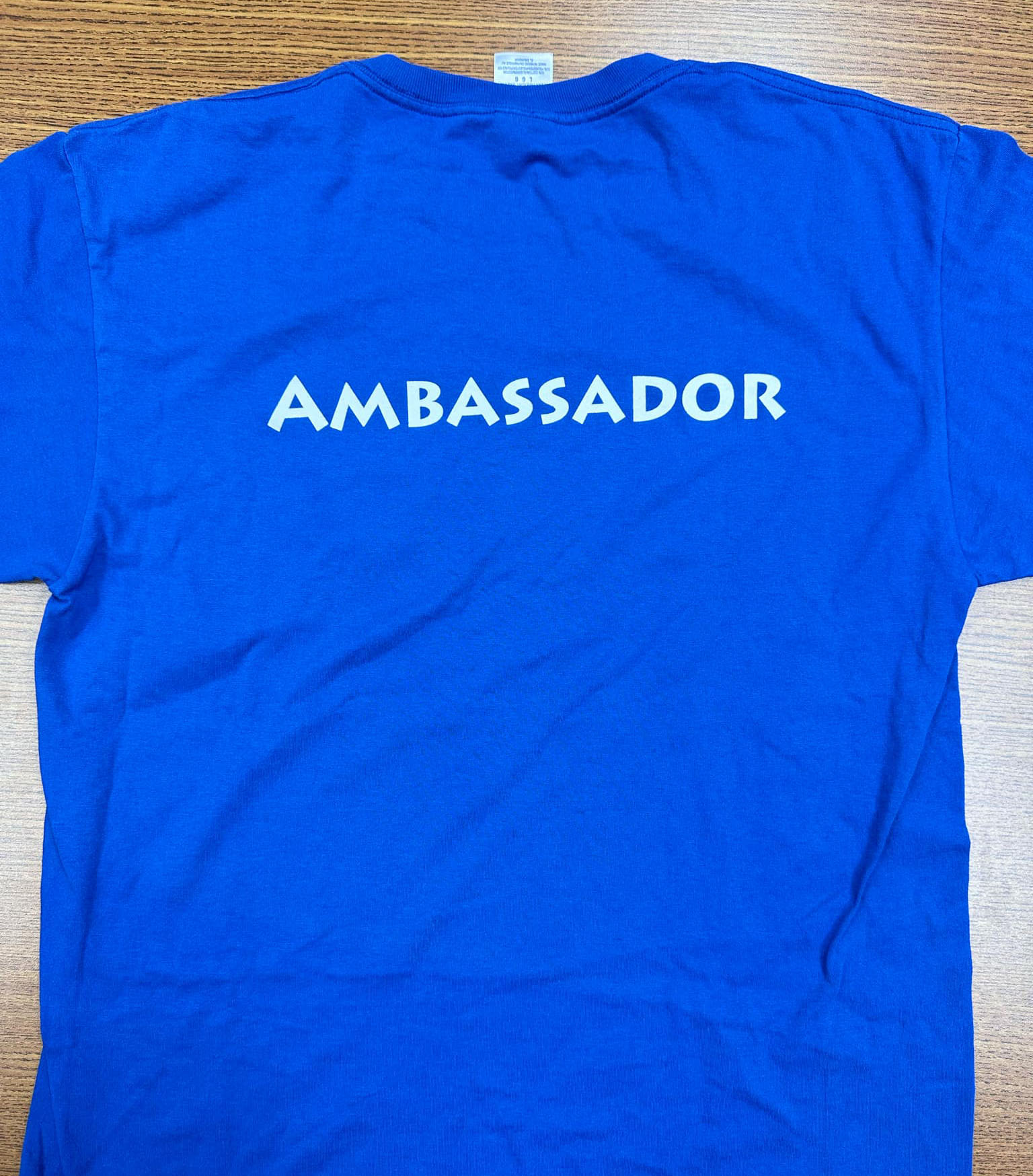 Back of KYEA Ambassador Blue shirt- full description below photo